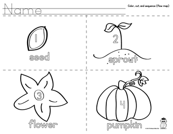 printable pumpkin life cycle sequencing cards