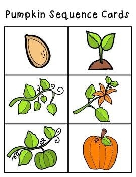 Pumpkin Life Cycle Sequencing Cards