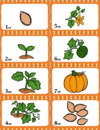 pumpkin sequencing cards printable