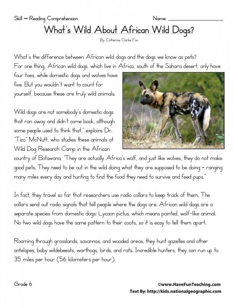 Reading Comprehension Worksheet What Wild About African Wild Dogs 