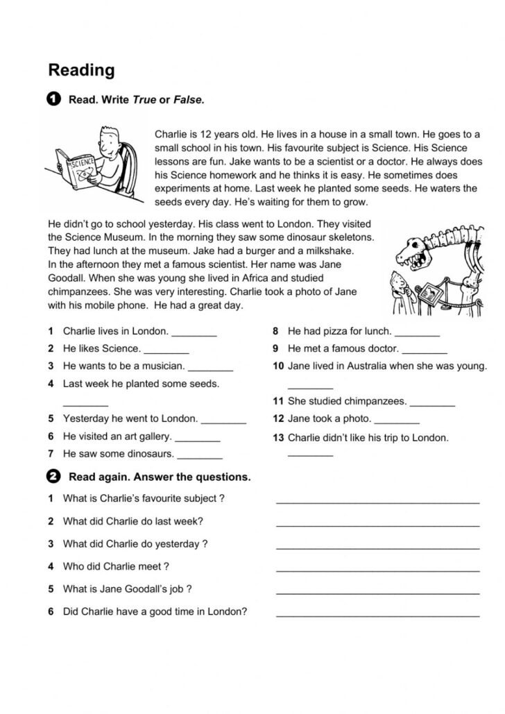 reading comprehension worksheets 6th grade