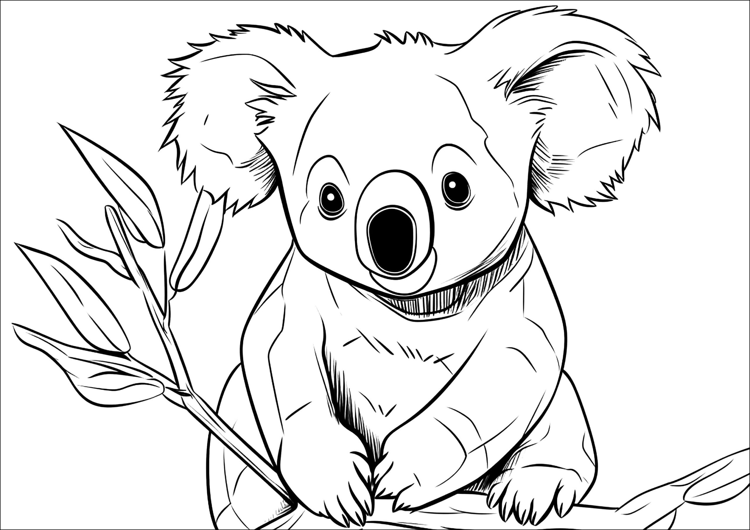 Realistic Koala Coloring Koalas Coloring Pages For Kids