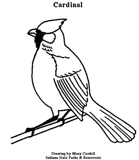 Red Cardinal Coloring Page