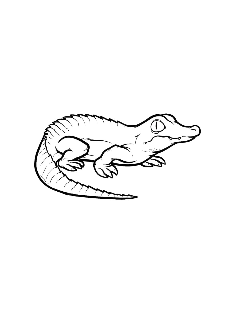 Reptile Coloring Pages