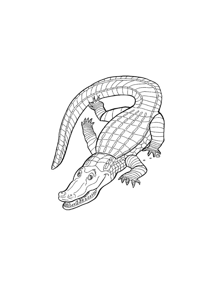 Reptile Coloring Pages