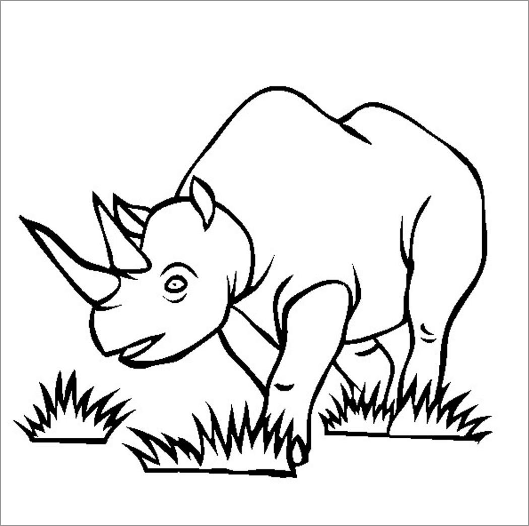Rhino Coloring Page ColoringBay