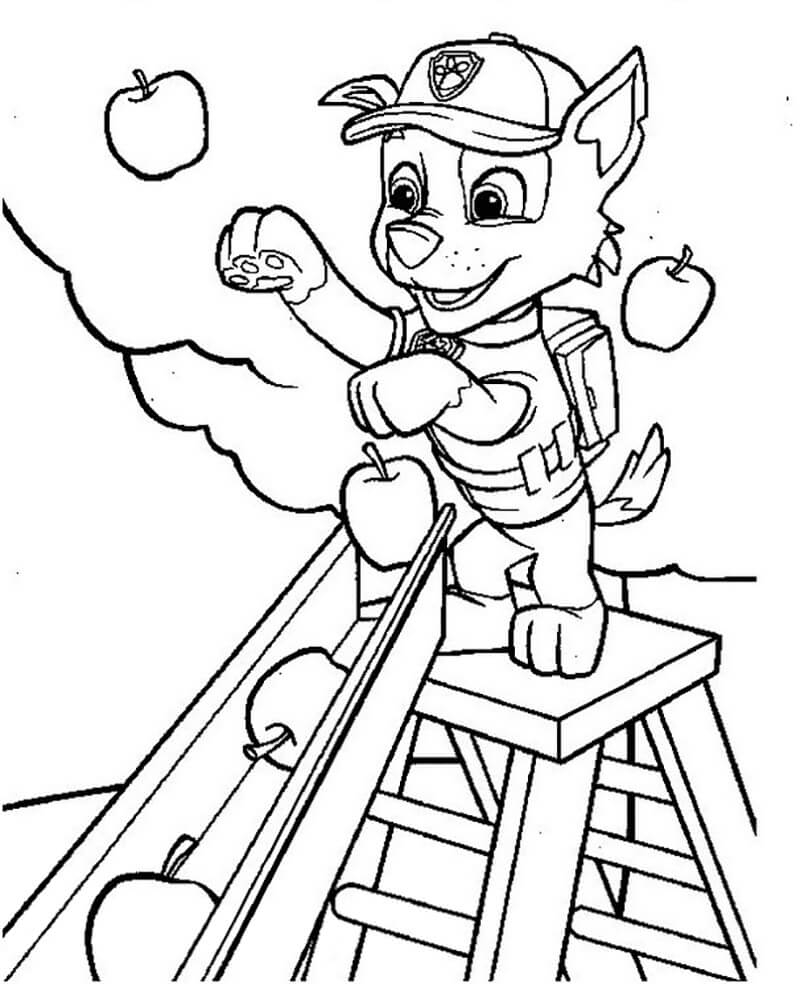 Rocky Picking Apples Coloring Page Free Printable Coloring Pages For Kids