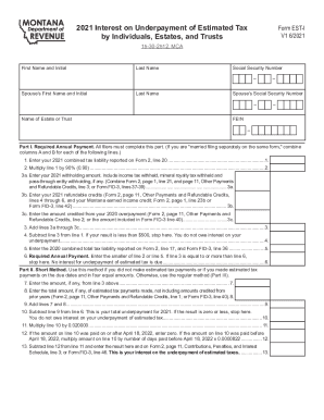 Same Day Taxpayer Worksheet Fill Out Sign Online DocHub