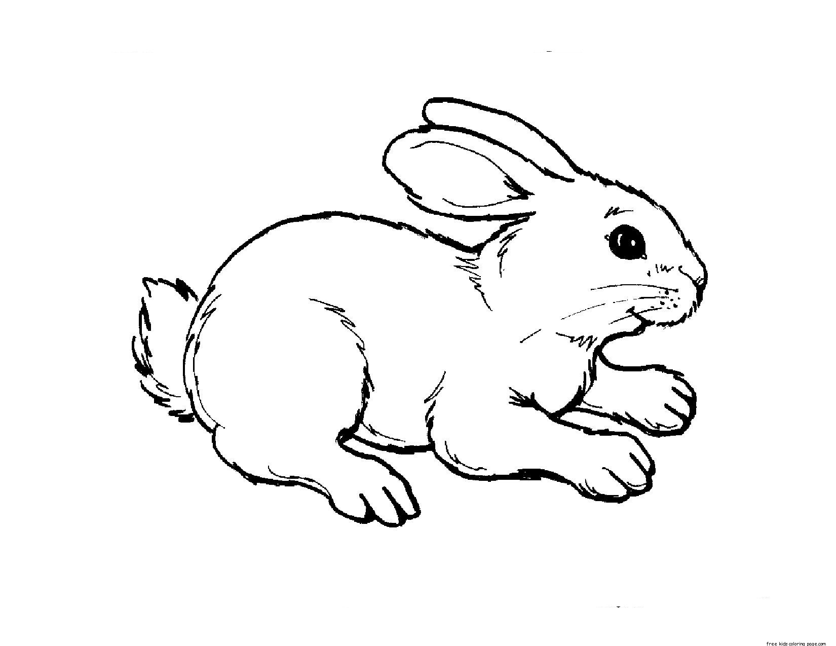 free printable pictures of animals for kids