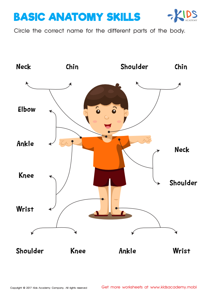 body parts worksheet for grade 1