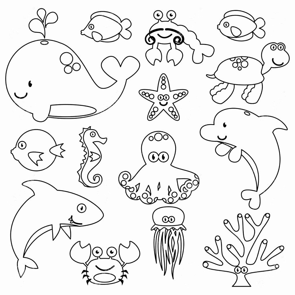 free printable sea life ocean animals coloring pages
