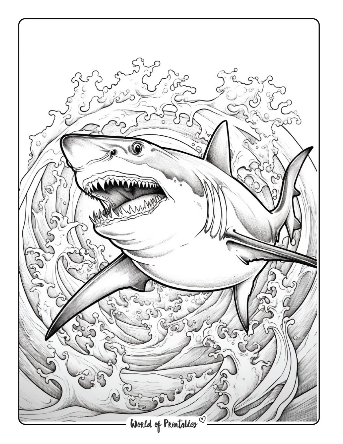 Shark Coloring Pages For Kids Adults World Of Printables