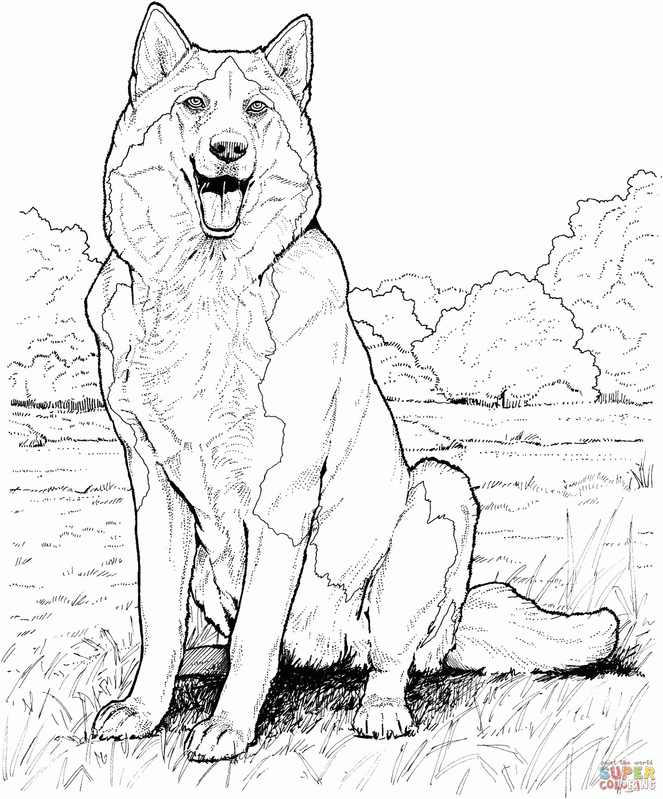 Siberian Husky Coloring Pages Coloring Home