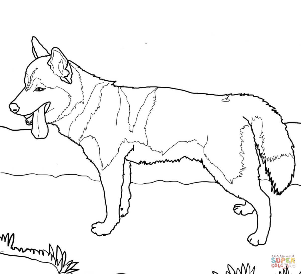Siberian Husky Coloring Pages Coloring Home