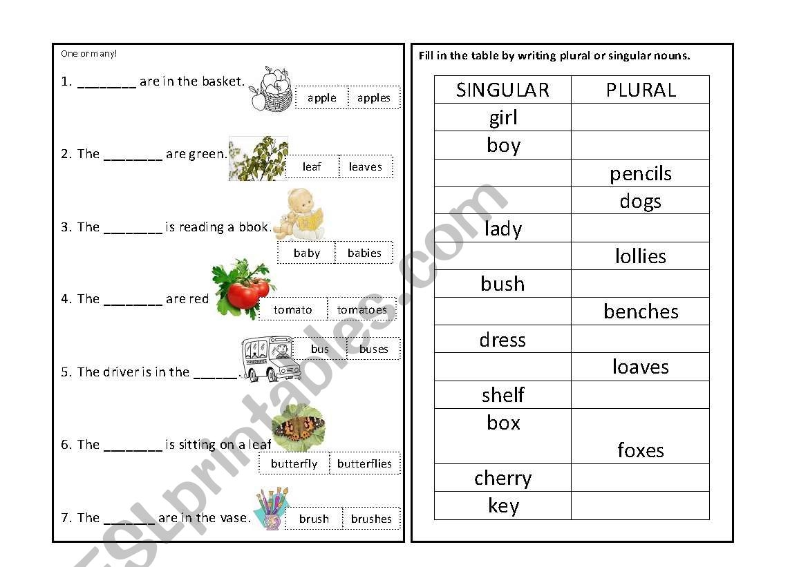 singular or plural nouns worksheet