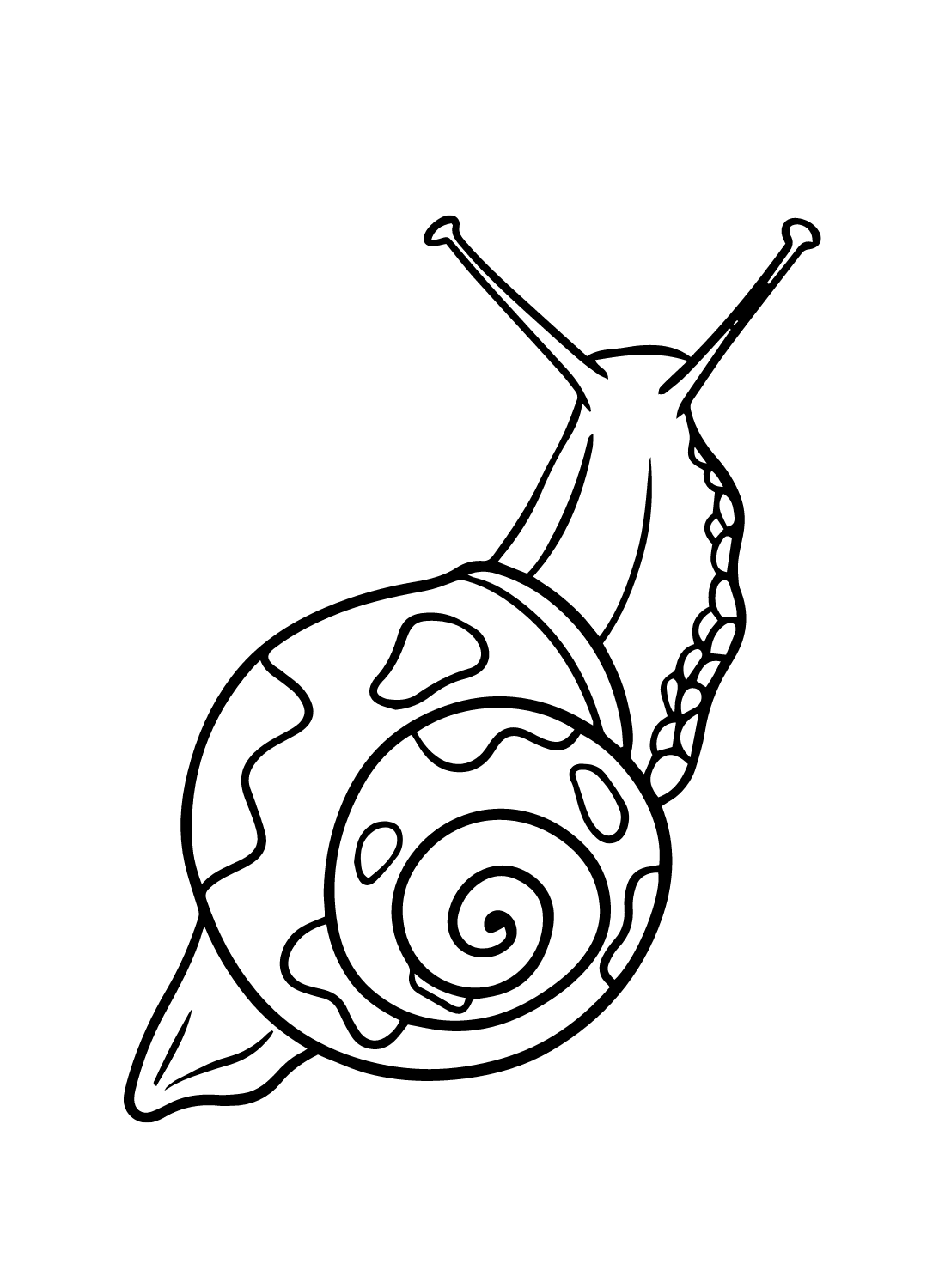 Snail Images Coloring Page Free Printable Coloring Pages