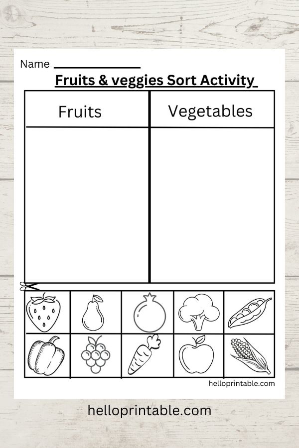 sorting worksheets