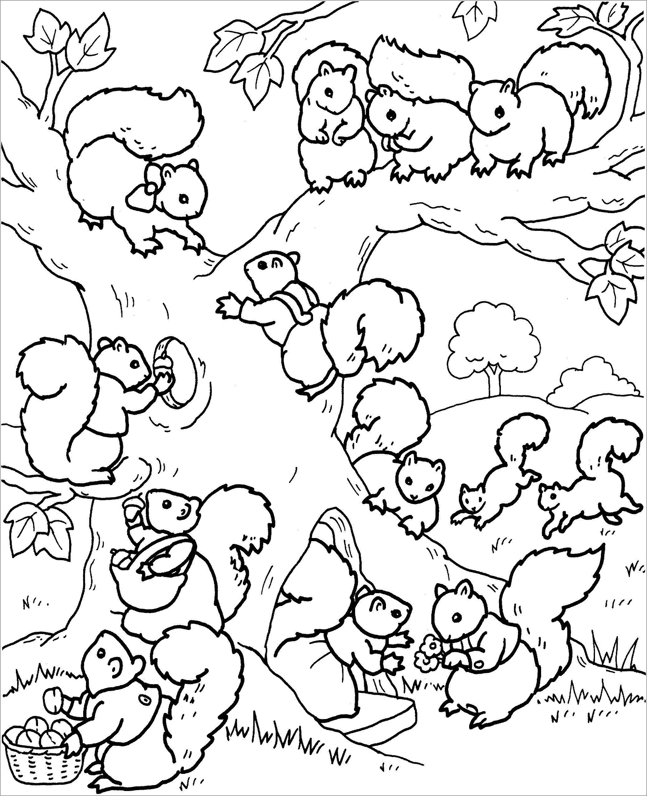 Squirrel Coloring Pages ColoringBay