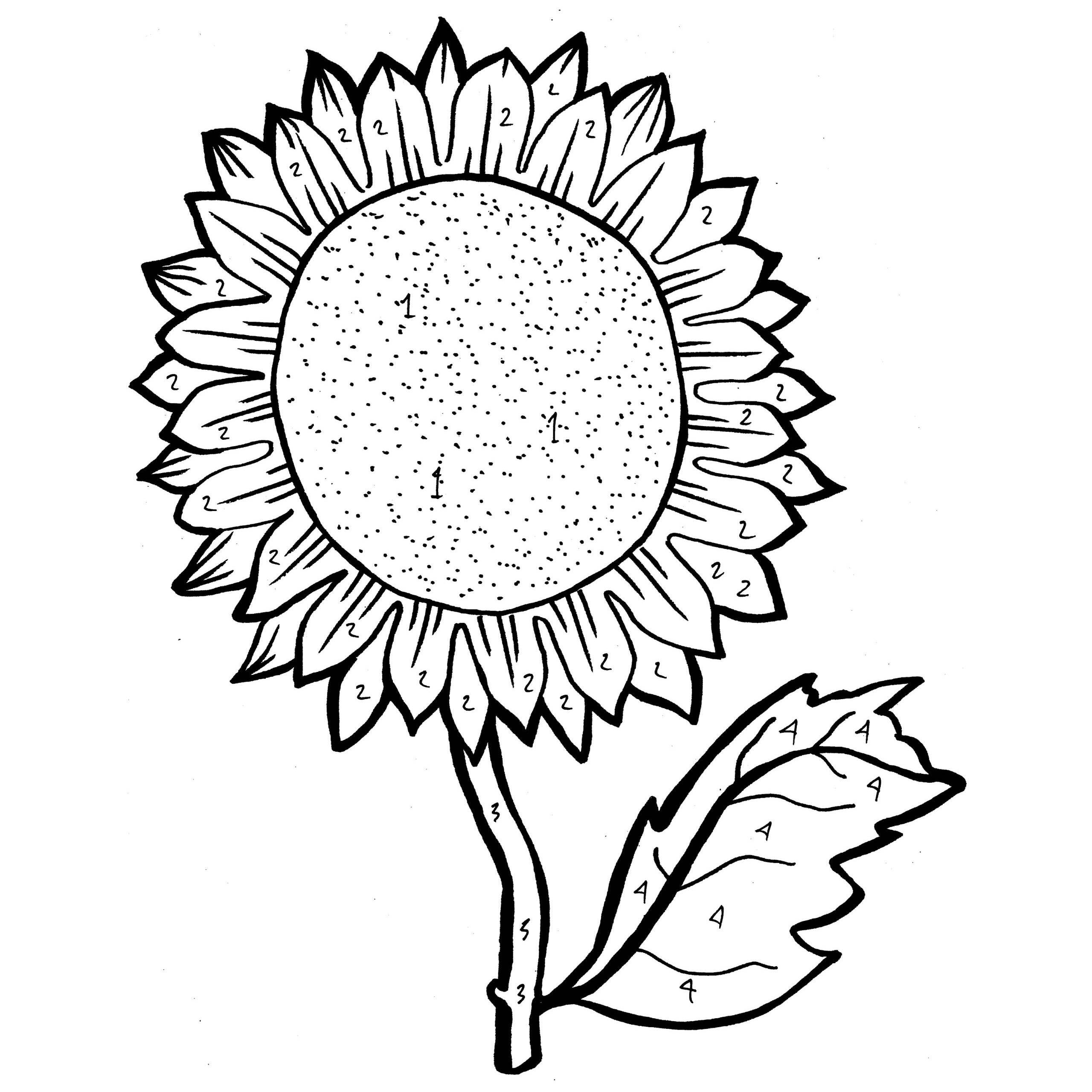 free sunflower coloring pages