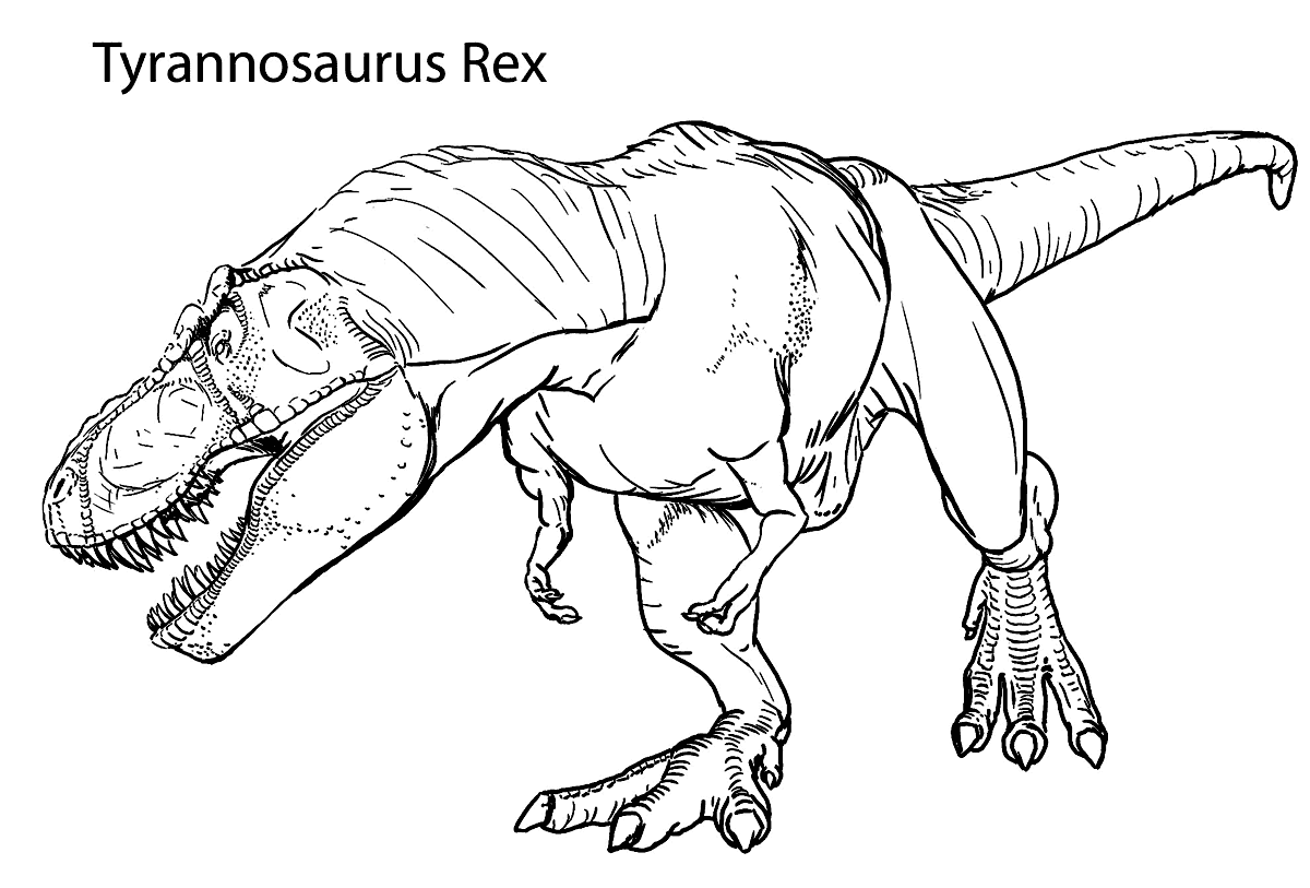 Coloring Page T Rex