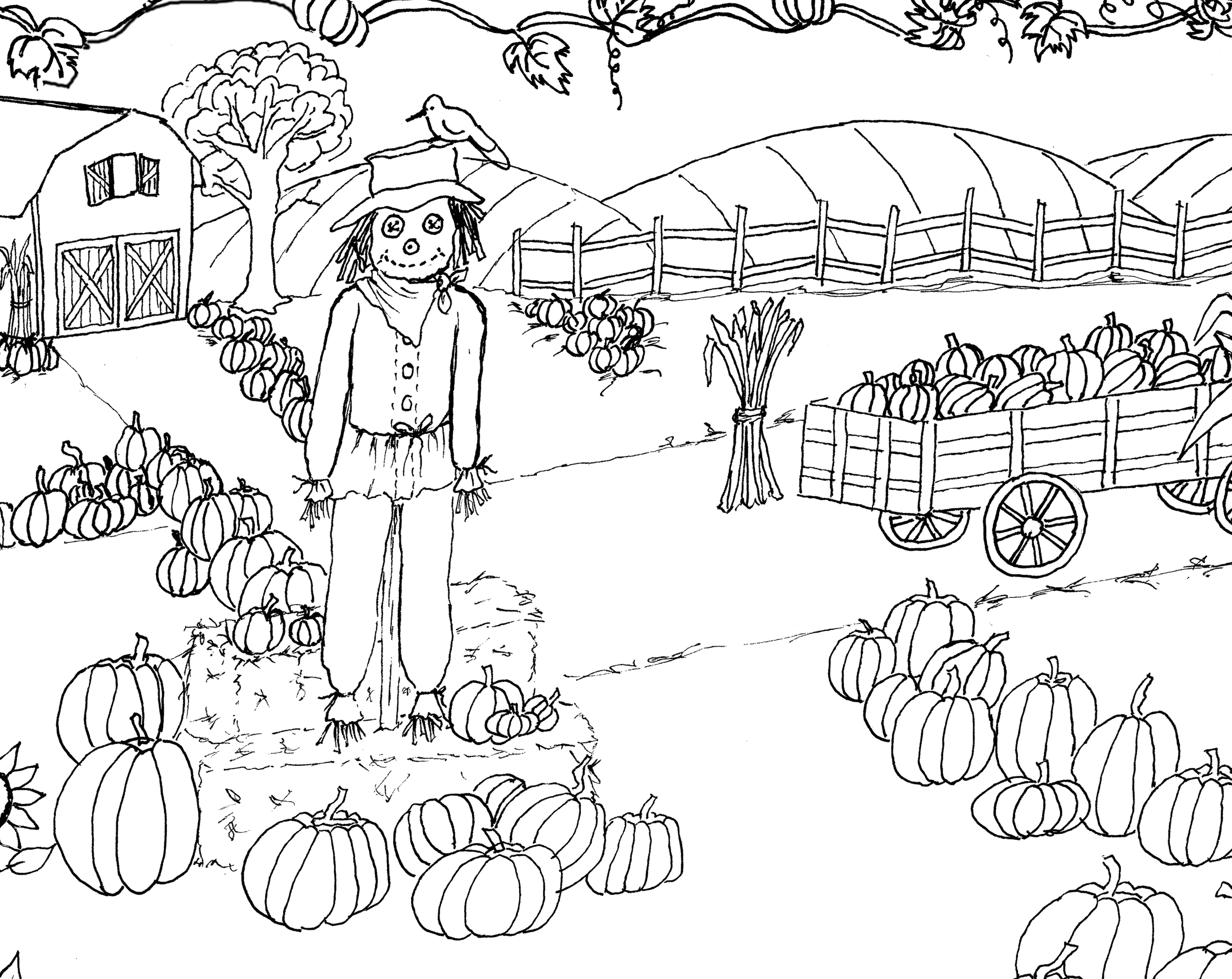 The Perfect Pumpkin Coloring Page For Fall Fun