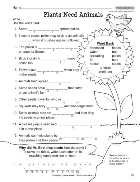 Third Grade Printable Science Worksheets Scienceworksheets