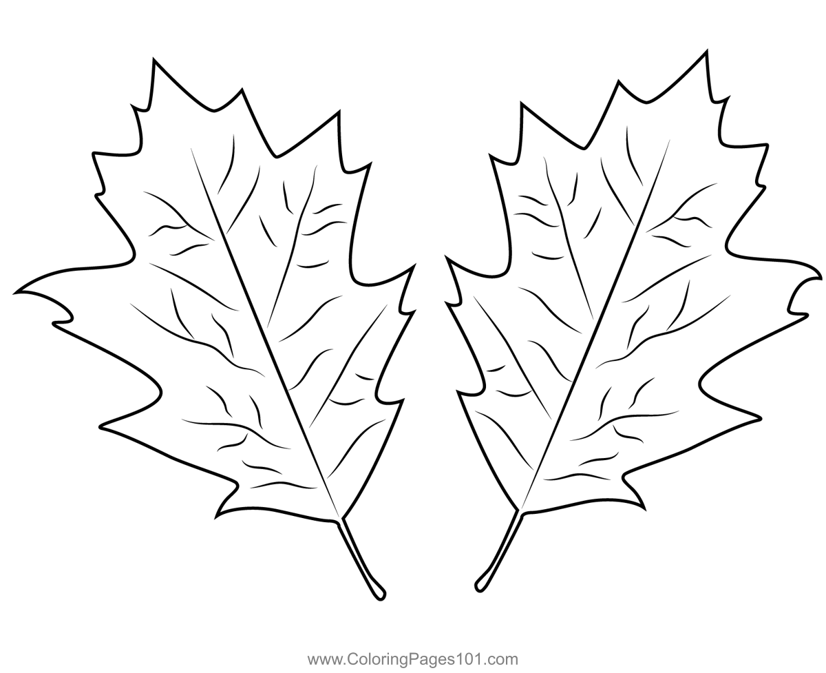 Autumn Leaves Coloring Page