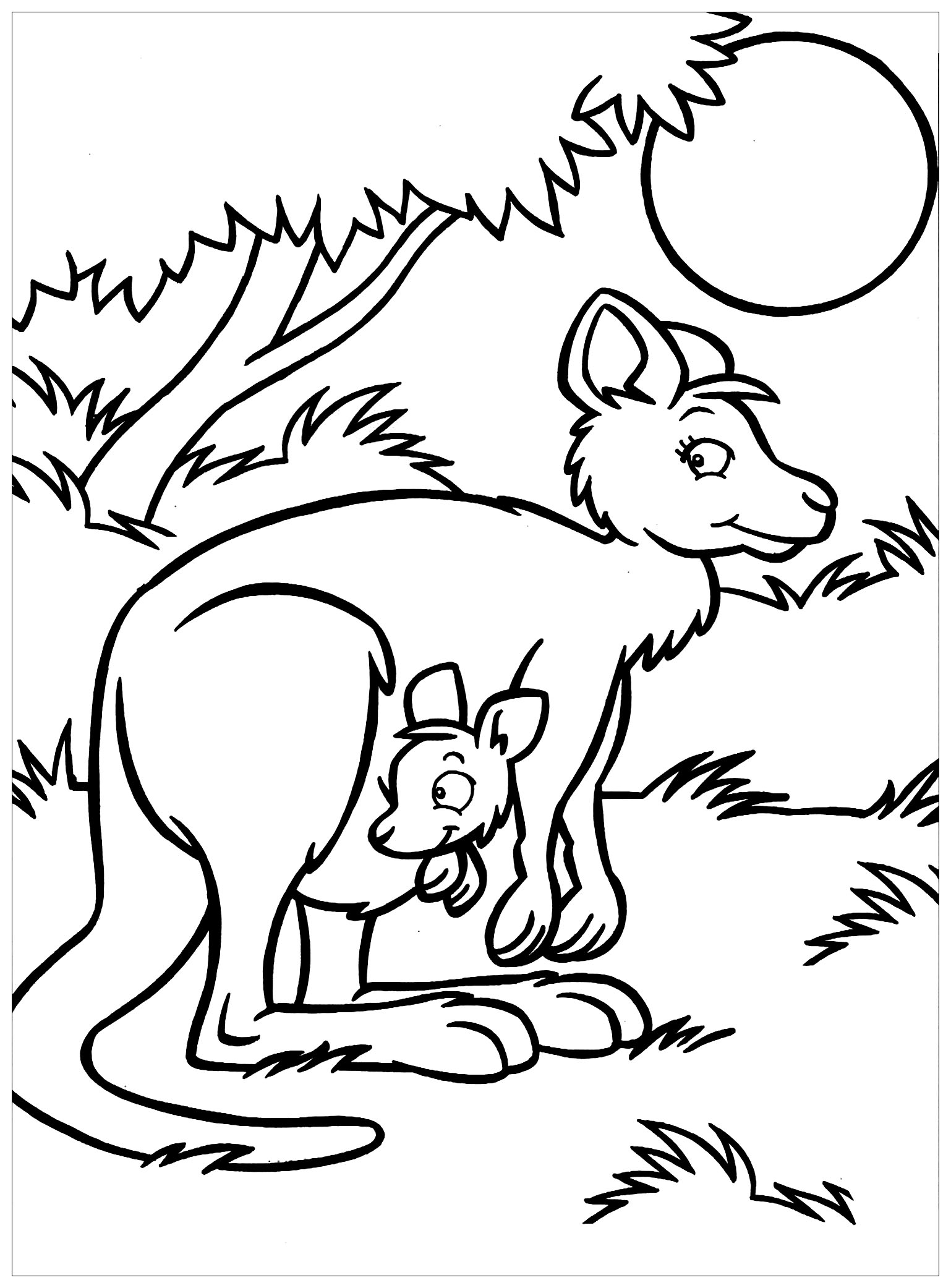 Two Kangaroos Kangaroo Coloring Pages