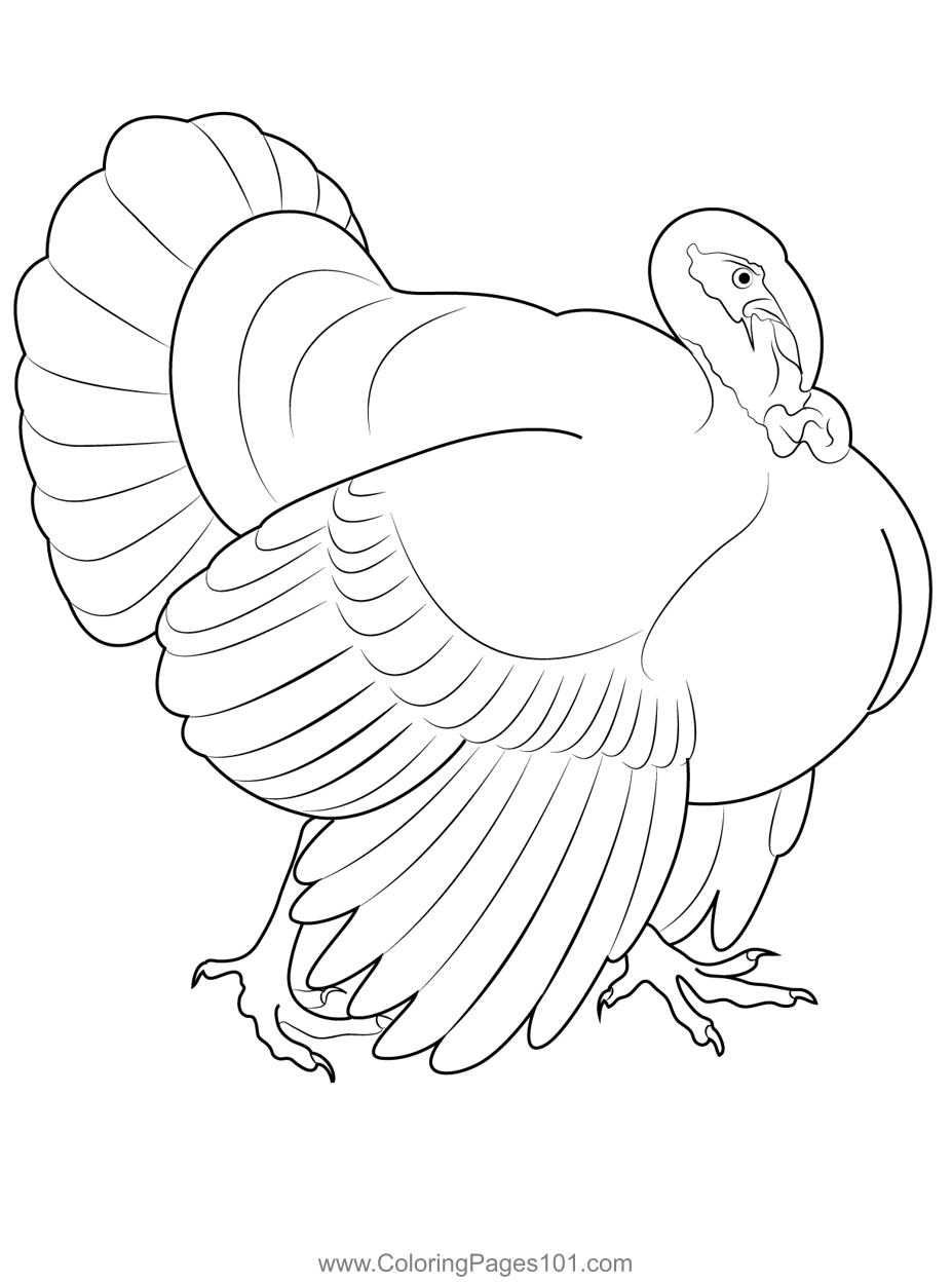 free coloring pages of turkeys