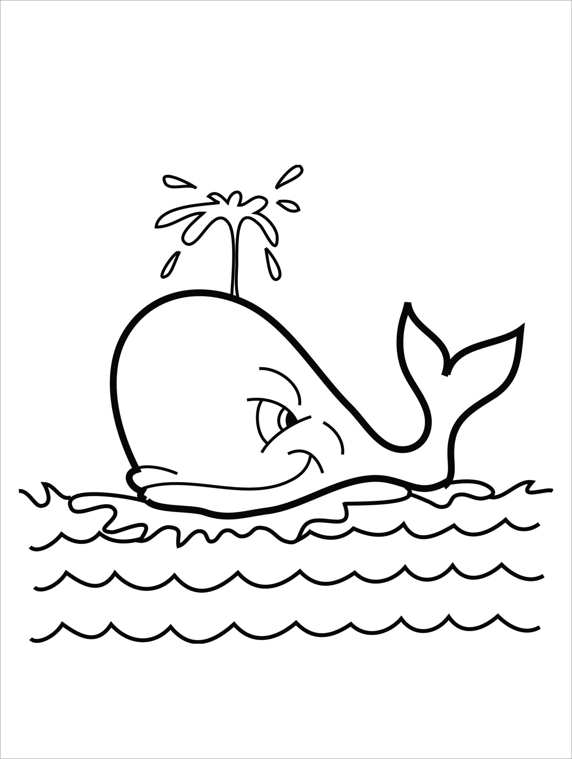 Whale Coloring Pages ColoringBay