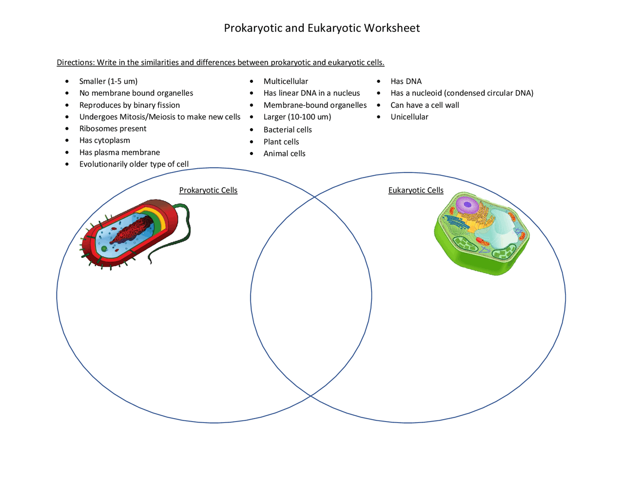 prokaryotic and eukaryotic cells worksheet