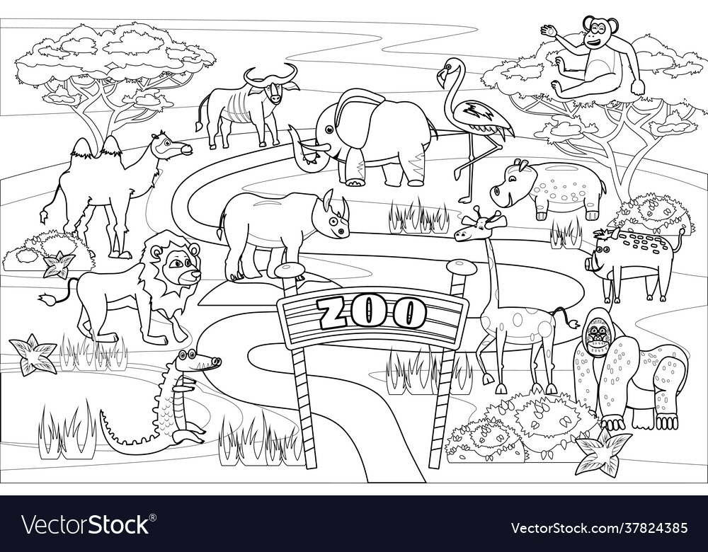 Zoo Animals Colouring Pages